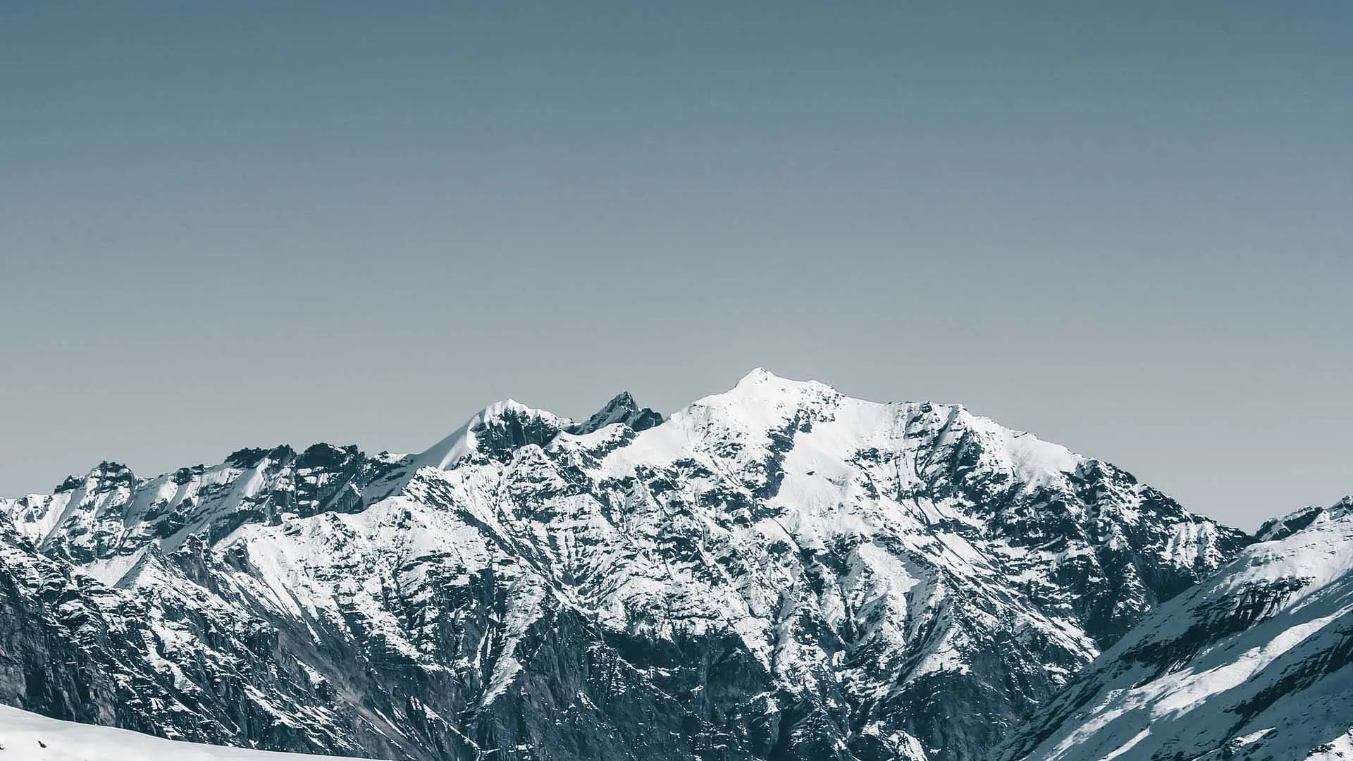 Header Photo
